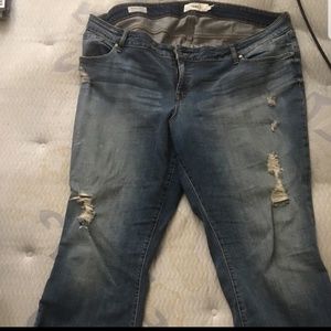 Torrid bootcut jeans